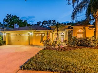 10182 Whisper Pointe Dr, Tampa, FL 33647