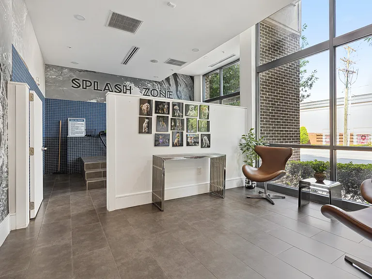 Midtown 205, Charlotte, NC, Pet Salon
