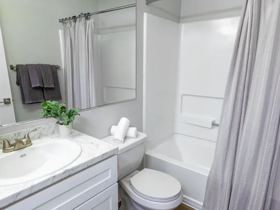 Upgraded Bathroom