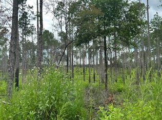 Highway 602, Laurel Hill, FL 32567