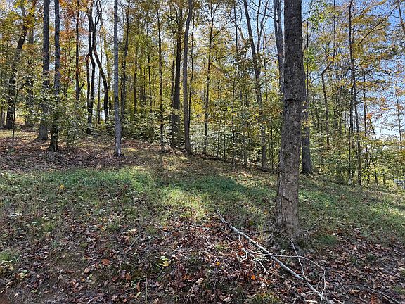 5th image of 410 Falls Creek Way