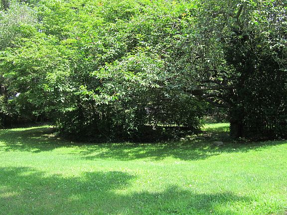 2nd image of 39 Bradbury Ave