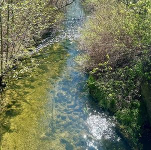 Nhn Yaak River Rd, Yaak, MT, 59935