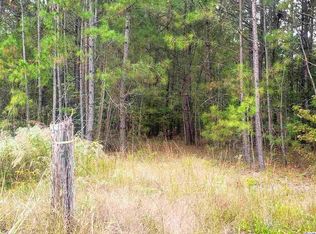 Senator Gasque Rd, Marion, SC 29571
