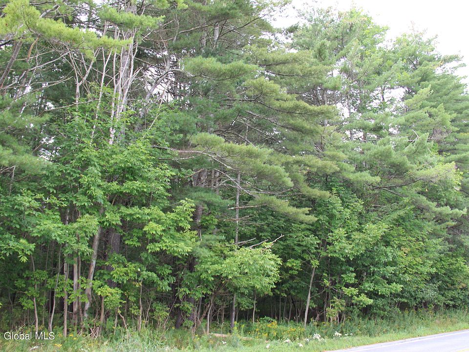 L19 State Route 28, Wevertown, NY 12886 Zillow