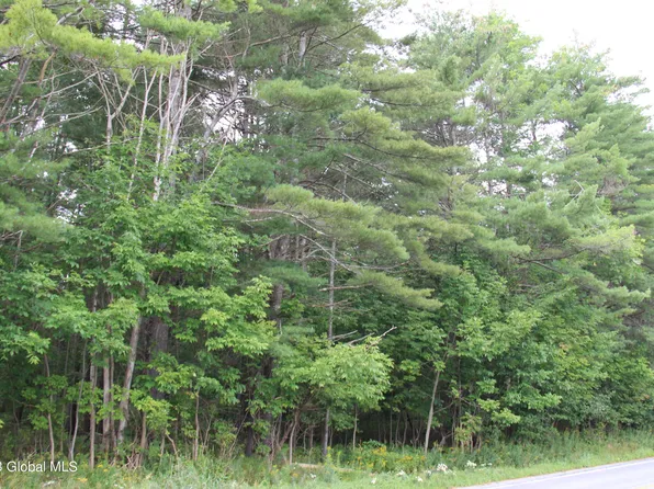 L19 State Route 28, Wevertown, NY 12843