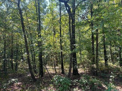 0 Howard Rd, Higden, AR, 72067
