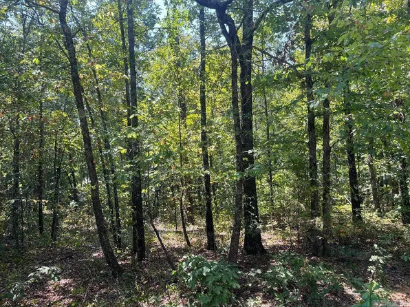 0 Howard Rd, Higden, AR 72067