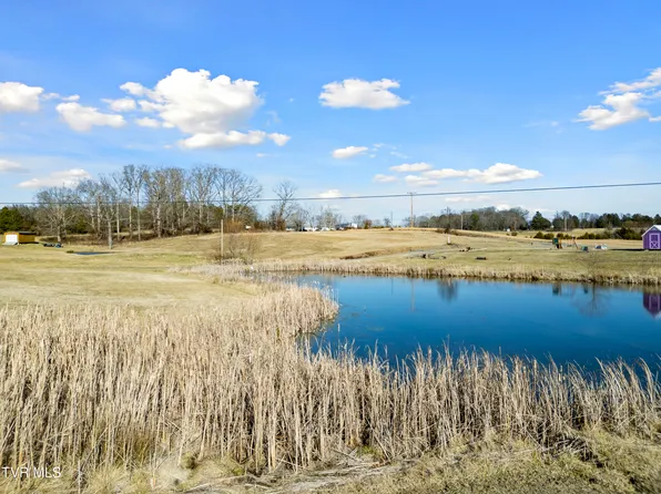 Hogan Ln, Mosheim, TN 37818