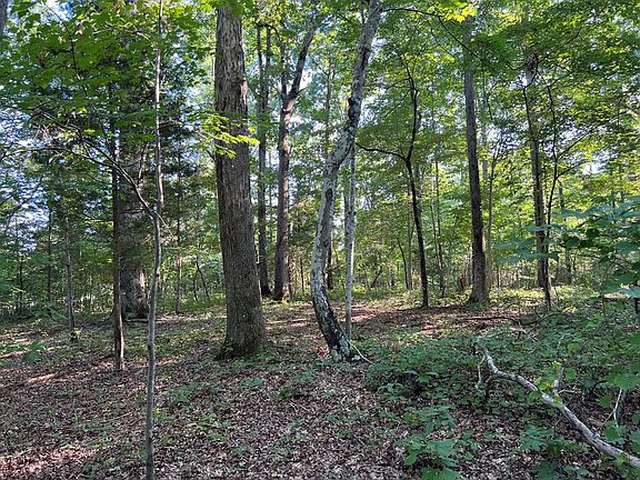 Mature hardwoods can be found throughout the property