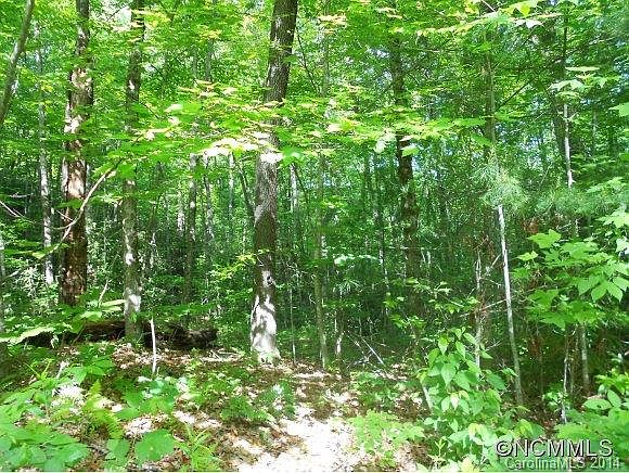 2nd image of LOT 39 Windwood Hill Rd #P