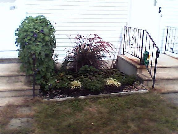 Front garden