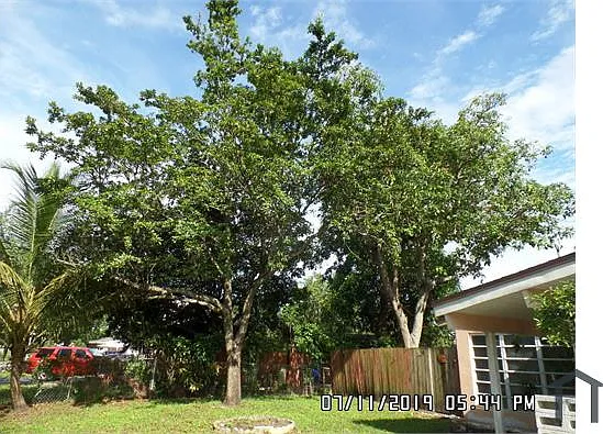 6610 Johnson St — Photo 6