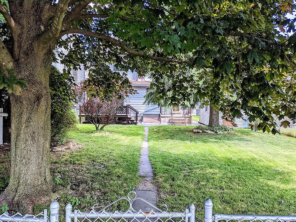 Back yard