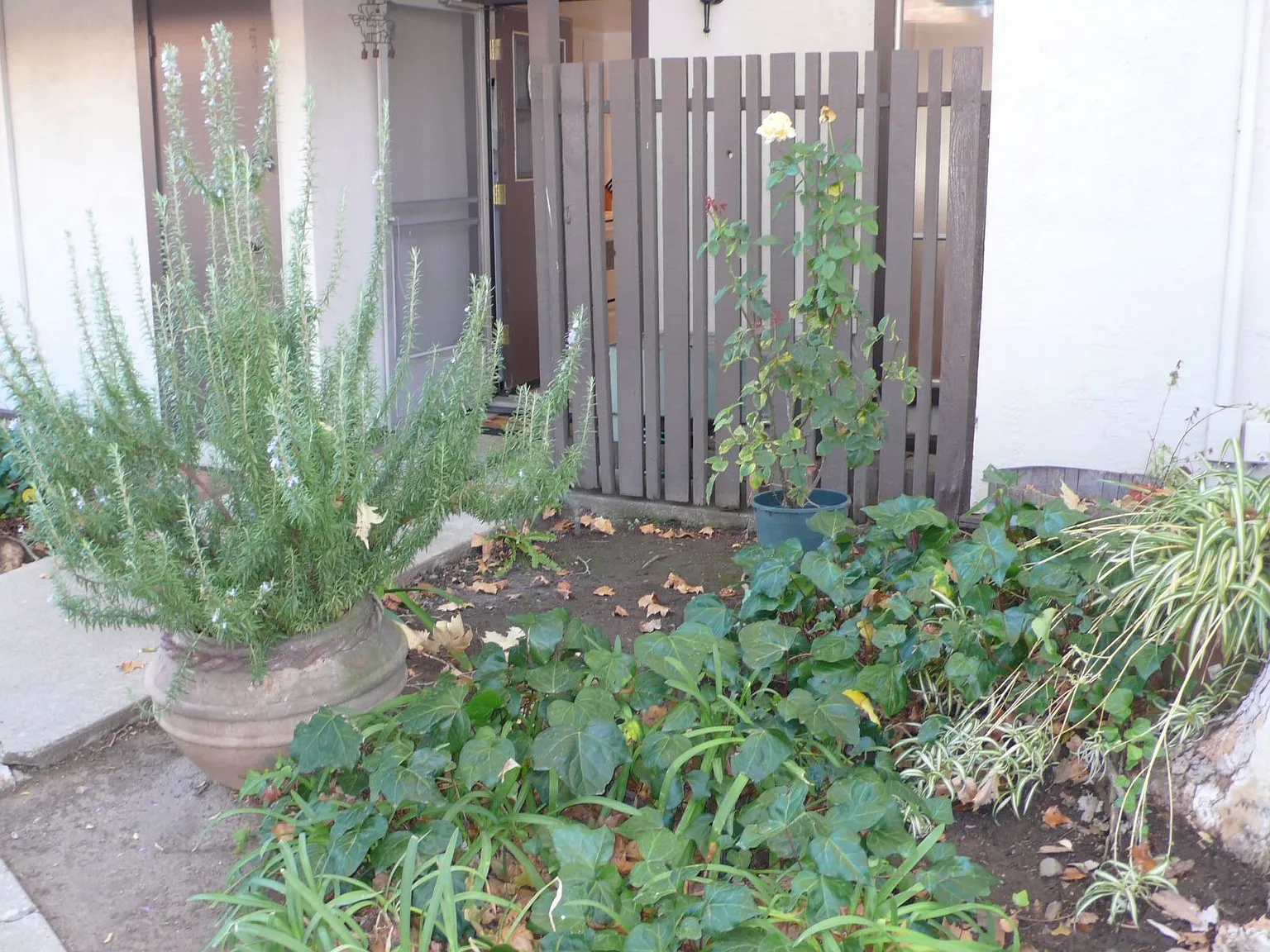 5490 Roundtree Dr APT E photo 1