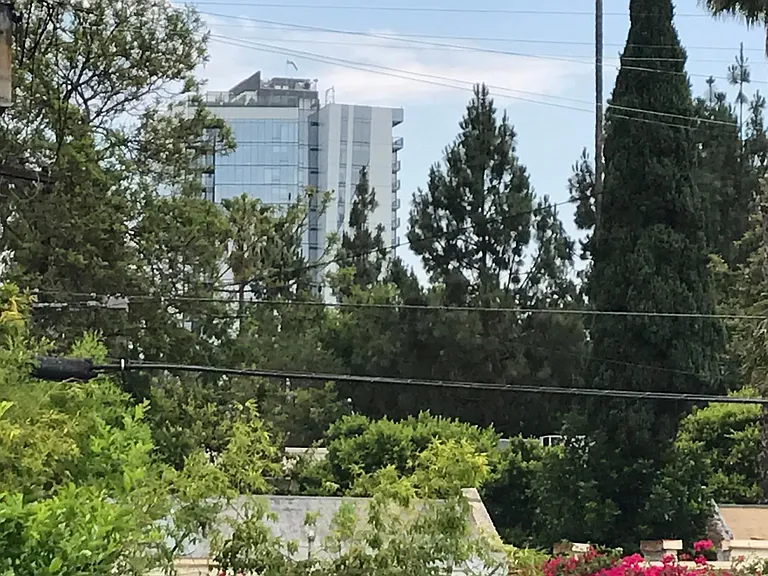 VIEW FROM THE DECK