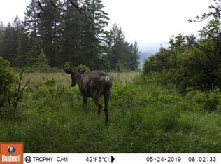 2251 Skeels Rd, Addy, WA 99101