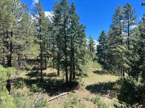 853 Ranchland Drive, Pagosa Springs, CO 81147