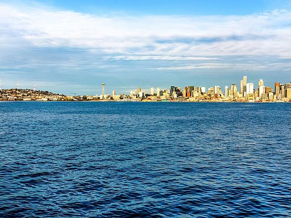 Skyline View