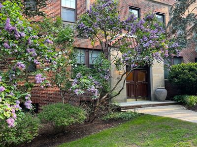 321 Tappan St APT 3, Brookline, MA, 02445