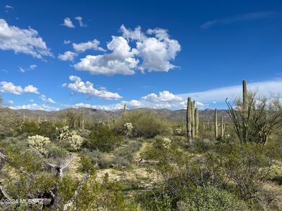 S Owl Cove Rd, Red Rock, AZ, 85145