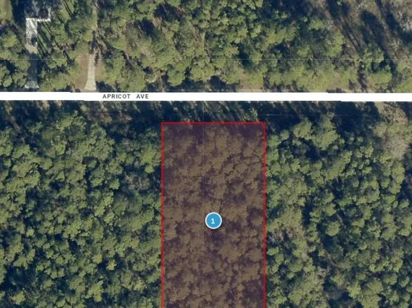 0 Apricot Ave, Eustis, FL 32736