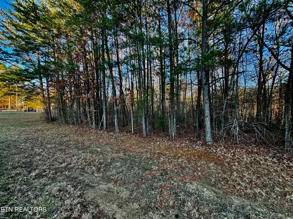 George Ln, Deer Lodge, TN 37726