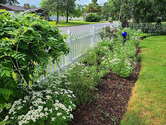 Garden & Front Yard Fence