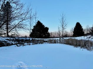 1175 S Osborne Rd, Dansville, MI 48819