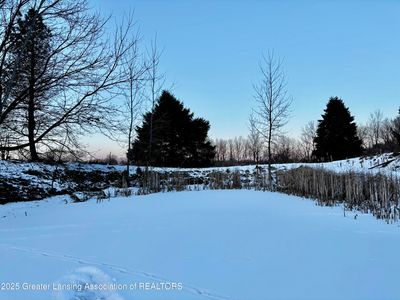 1175 S Osborne Rd, Dansville, MI, 48819