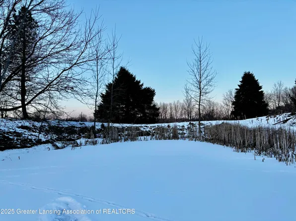 1175 S Osborne Rd, Dansville, MI 48819