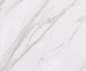 Tile Florentine Carrara