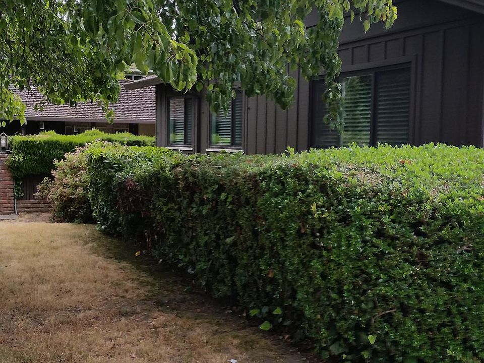1st image of 703 Curtis Way #1