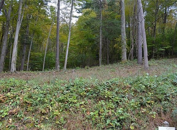 5th image of 18 Poplar Run Cir