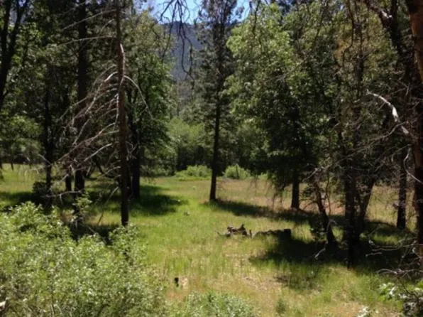 7400 Diamond Mountain Rd, Taylorsville, CA 95983