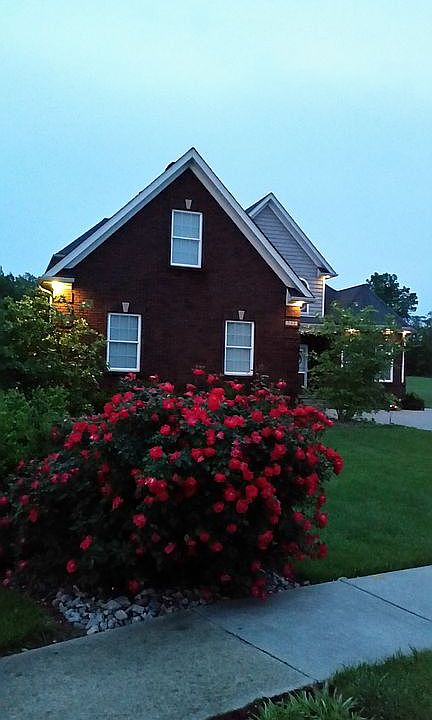 2nd image of 544 Sunningdale Way