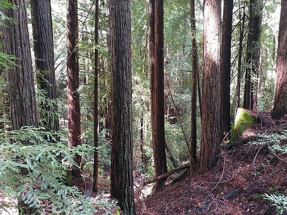 4th image of 20233 Skyline Blvd