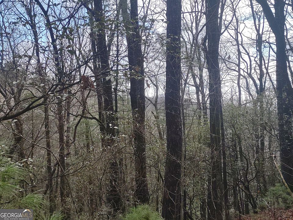 1st image of 45 Amy Creek Dr