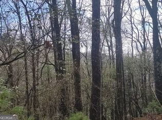 45 Amy Creek Dr, Ellijay, GA 30540