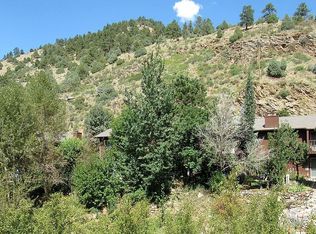 2907 Riverside Dr, Idaho Springs, CO 80452