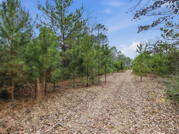 1365 Mouth Of The Creek Rd, Merryville, LA 70653