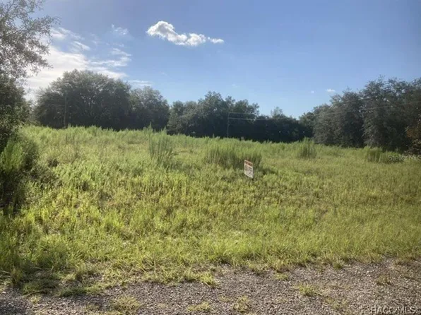 7692 N Fisher Ter, Citrus Springs, FL 34434