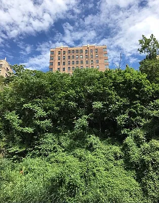 Sold by Corcoran | media 20