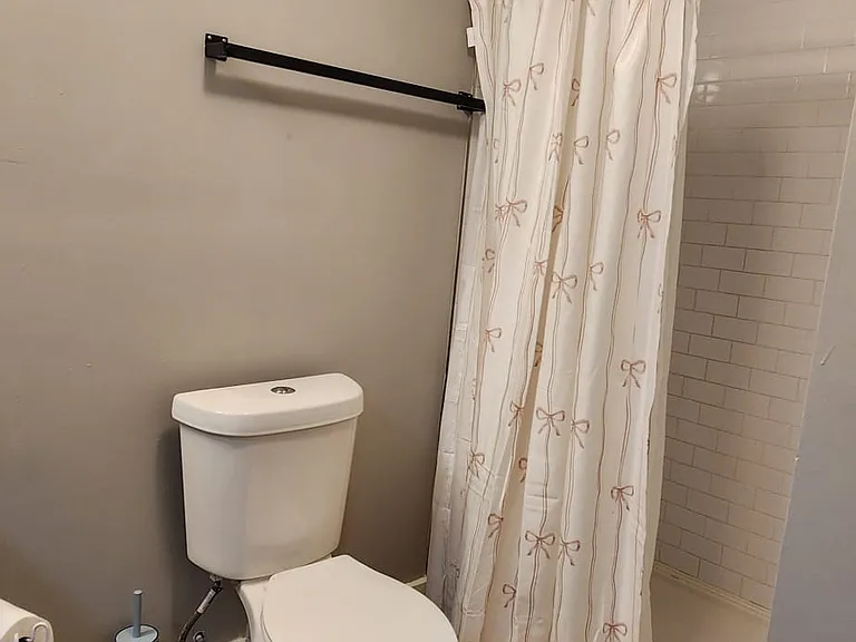 Basement Bathroom