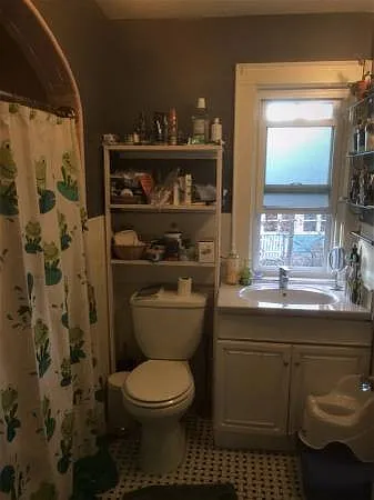 35 Dundee Rd — Photo 13