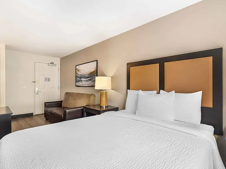 Deluxe Studio - 1 King Bed