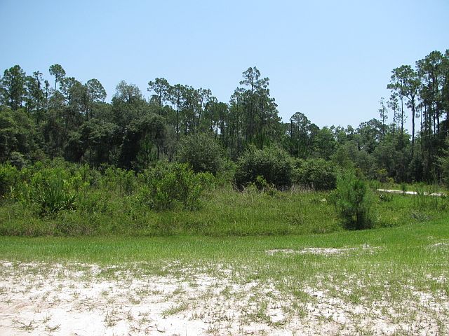 1st image of 100 S Star Lake Dr