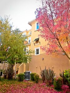 4337 Fitzwilliam St, Dublin, CA, 94568