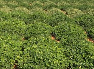 533 County Road 186, Rochester, TX 79544