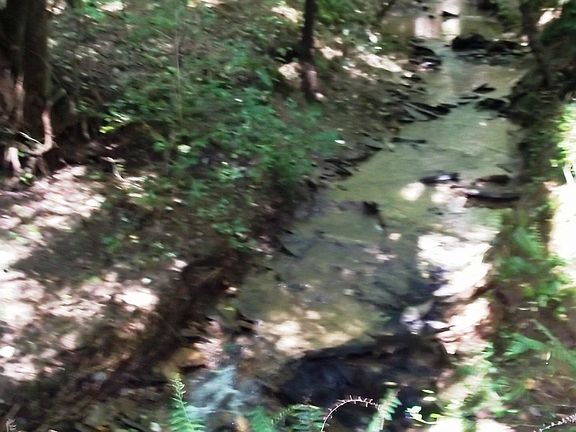Cain Creek